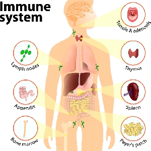 Our Immune System