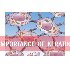 Keratin Deficiency :  Causes And Prevention