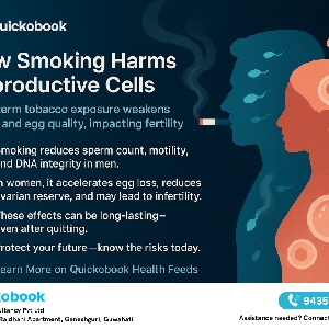 Smoking And Its Long-term Effects On Sperm And Egg Health