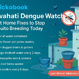 Guwahati Dengue Watch: 7 Best Home Fixes To Stop Mosquito Breeding Today