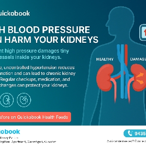 How High Blood Pressure Damages Your Kidneys